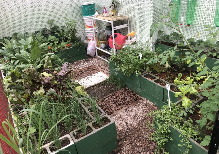 Horta Agroecológica